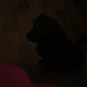 Meet your Posher, Bethie